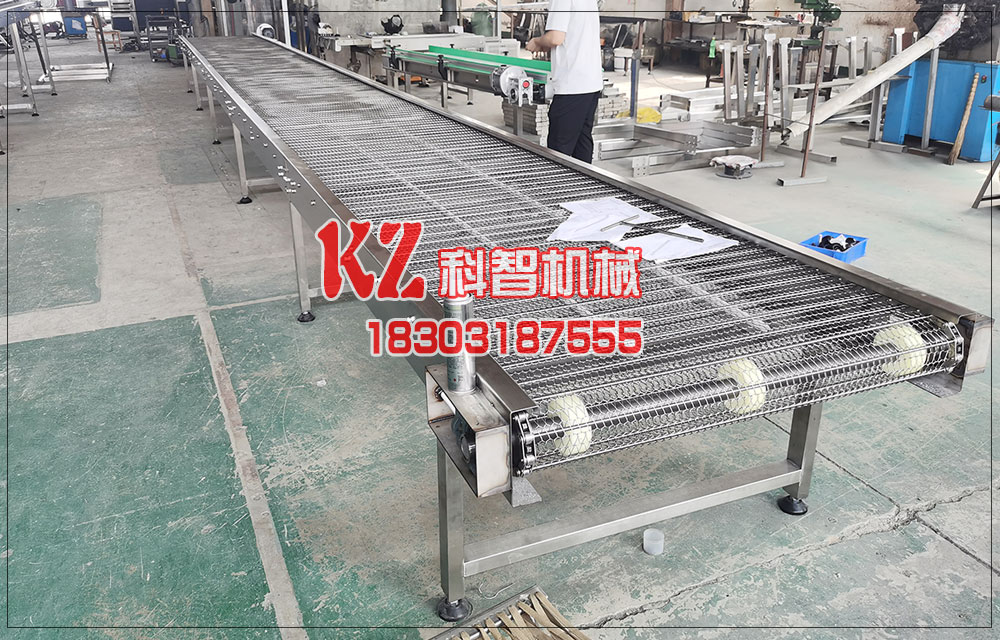 芒果清洗流水線網(wǎng)帶式輸送機(jī)